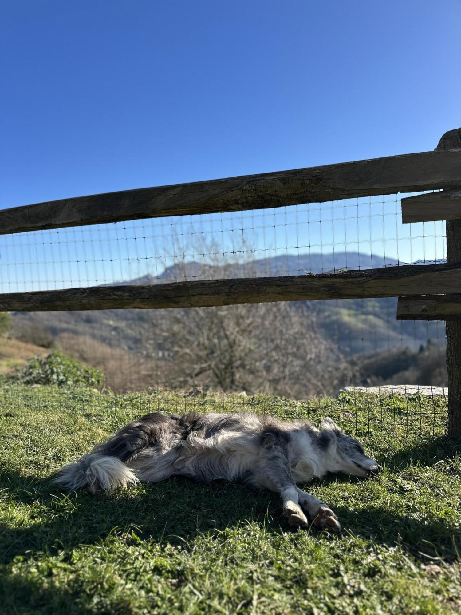 Вілла Almastur Rural Pola de Siero Екстер'єр фото
